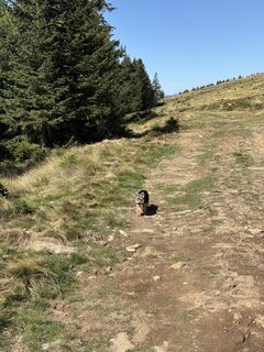 Photo de Reinhard Frewein le long du parcours