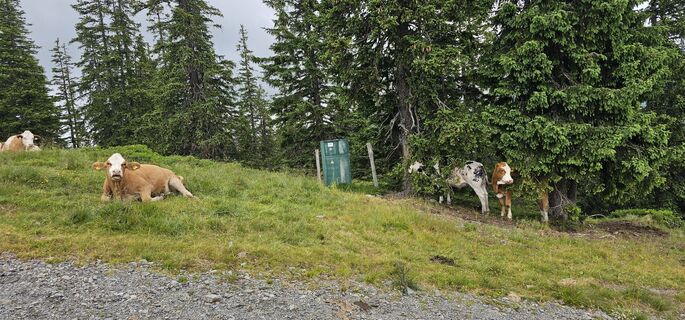Fotografie z Michael Ganswind na trase