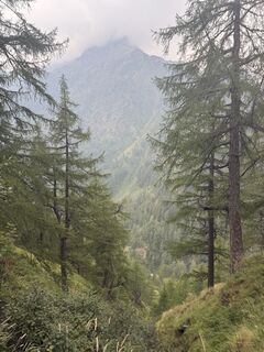 Photo de Robin Gerrets le long du parcours
