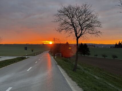 Foto de Schaali a lo largo del recorrido