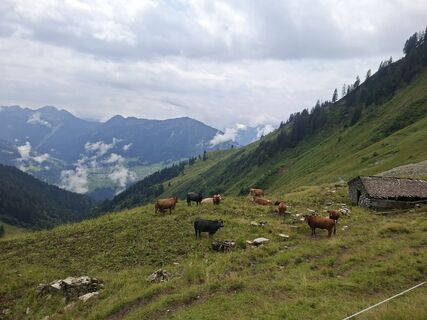Foto von Karl-Heinz Martin entlang der Tour