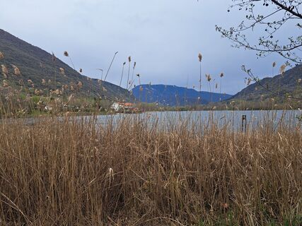 Foto von JoesBurg entlang der Tour