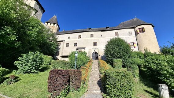 Fotografia z Hubert Sellnar na trase