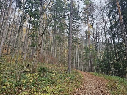 Photo from Matheo Kraule along the tour