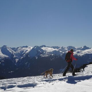 Dos dei Branchi