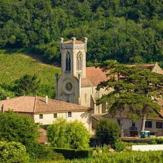 PEB_Solutré-Pouilly_082