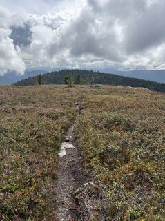 Foto fra Jako Koel undervejs på turen