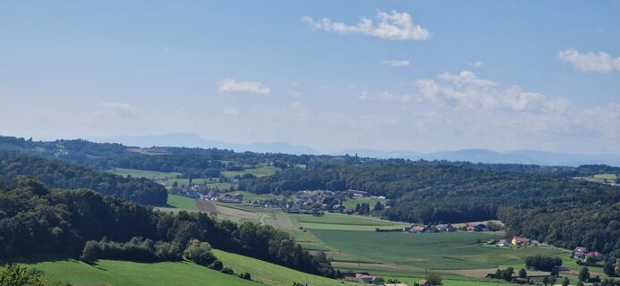 Fotografia z Utassy Tóth Johanna na trase