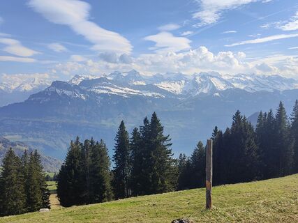 Foto de Darius Amarapura a lo largo del recorrido