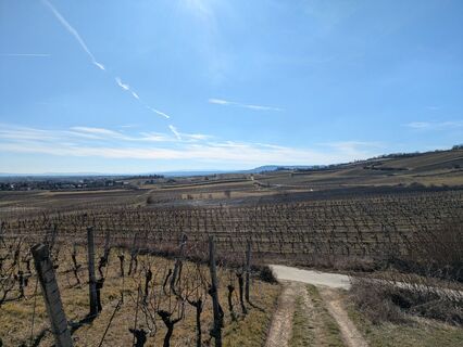 Fotografia z Edero na trase