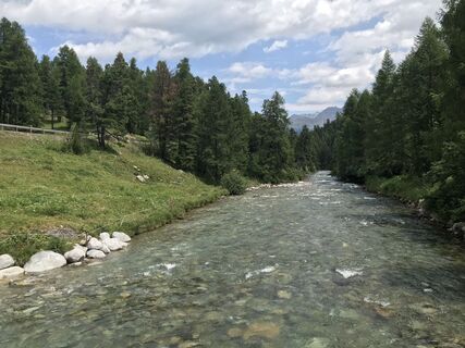 Photo de Holger Kühl le long du parcours