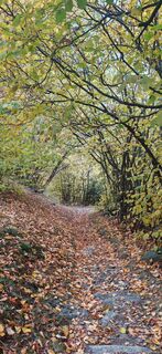 Foto von SusiMü entlang der Tour