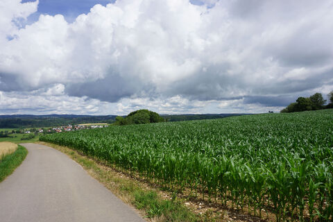 Blick auf Oberalpfen