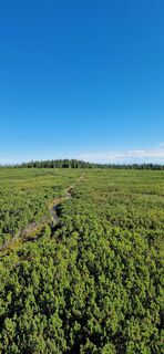 Foto von Roman Kramer entlang der Tour