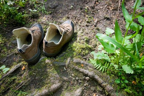 Wanderschuhe auf Wanderweg