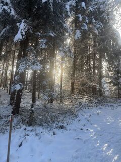 Photo de Christian Mattersdorfer le long du parcours