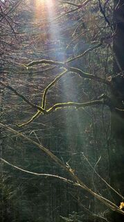 Photo de se_muck le long du parcours