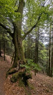 Photo de Richard Schwald le long du parcours
