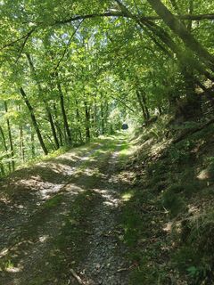 Foto von Mariska Brouwers entlang der Tour