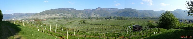 von Rossatz nach St. Lorenz