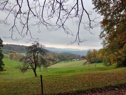 Foto de Michel Barbezat a lo largo del recorrido