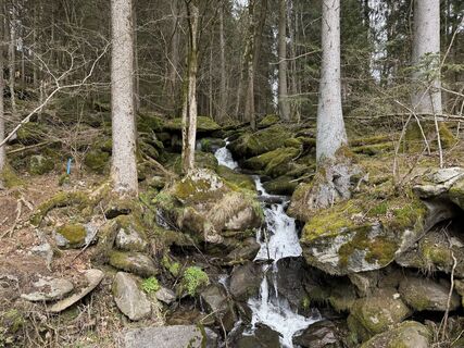 Fotografia z Höfler Ewald na trase