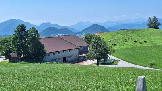 Foto von Gerhard Edermayer entlang der Tour