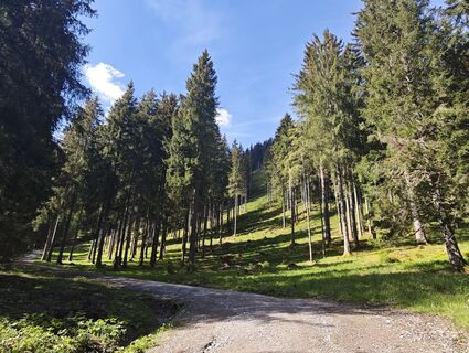 Fotografija s spletne strani Michi Steiert na poti