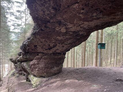 Foto von ondy Ondy entlang der Tour