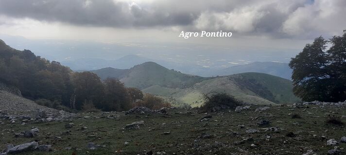 Foto de Dellinavelli Eraldo a lo largo del recorrido