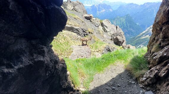 Foto från Sun under resans gång