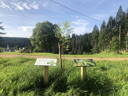 Schlaufuchspfad Einstieg am Pfälzer Eck
