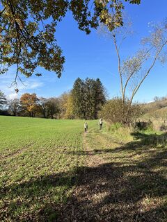 Fotografie de la Wolfgang Kuntner de-a lungul turului