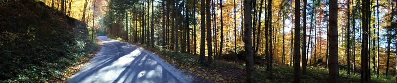 Gänsbrunnstraße unterer Teil