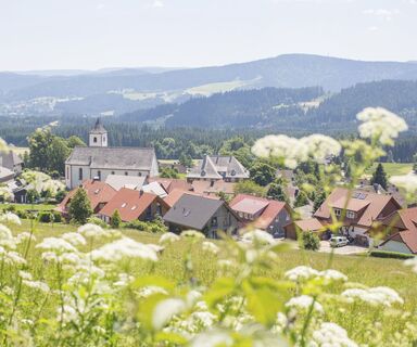 Blick auf Breitnau