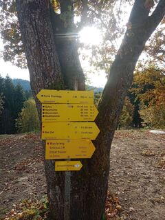Photo de Monika Korsitzke le long du parcours
