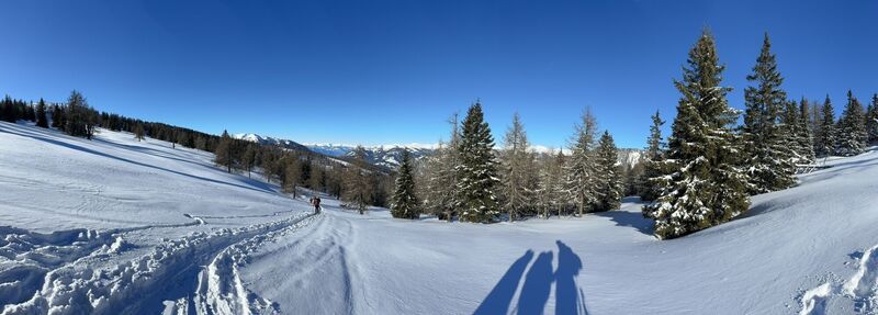 Foto von gdog entlang der Tour