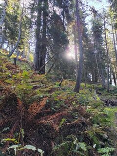 Fotografia z U Kirschstein na trase
