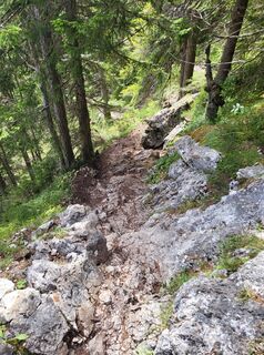 Fotografia z Gudi kowa na trase