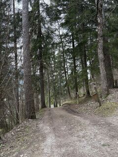 Foto von NezSari entlang der Tour