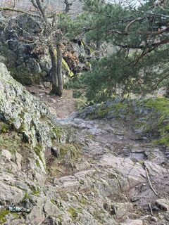 Photo de Elke Stamminger le long du parcours