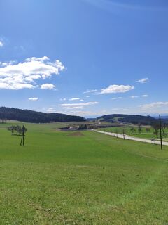 Фото с сайта ReginaSt во время экскурсии