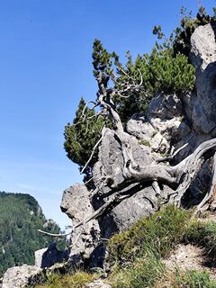 Foto von Margit Leitner 1 entlang der Tour