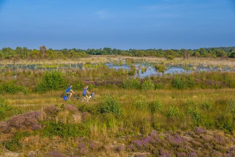 Dalum Wietmarscher Moor