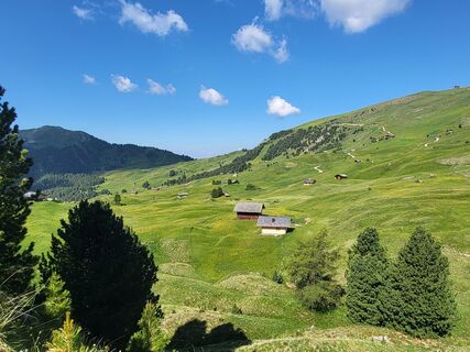 Photo de Judith Mairhofer le long du parcours