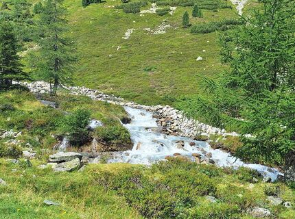 Photo de Gabrielasttz le long du parcours