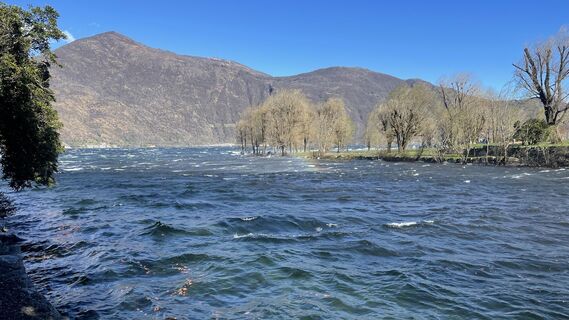 Fotografija s spletne strani Lis Malzach na poti