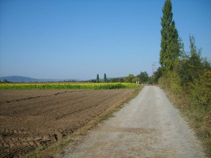 Marchfeldkanal Radweg