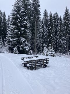 Foto von Markus Glanzmann entlang der Tour