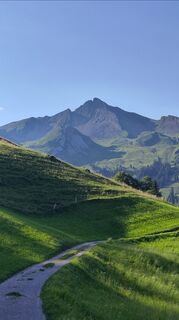 Fotografia z 2maeru7 na trase